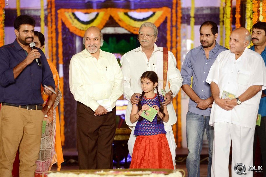 Dagudumutha-Dandakor-Movie-Audio-Launch